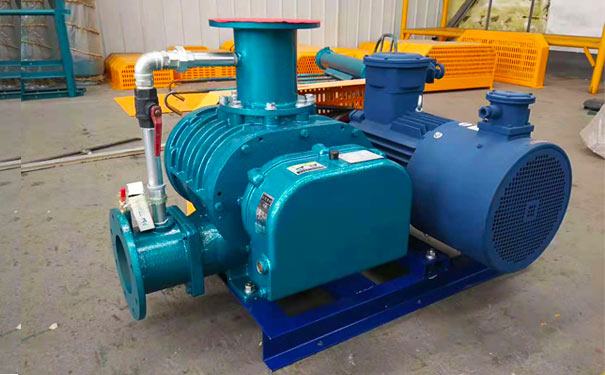 沼氣用羅茨風機廠家實拍 沼氣用羅茨風機廠家實拍